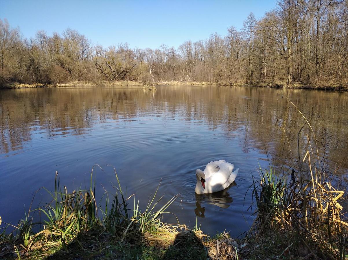 Ubytování u Malinkovičů Břeclav Esterno foto