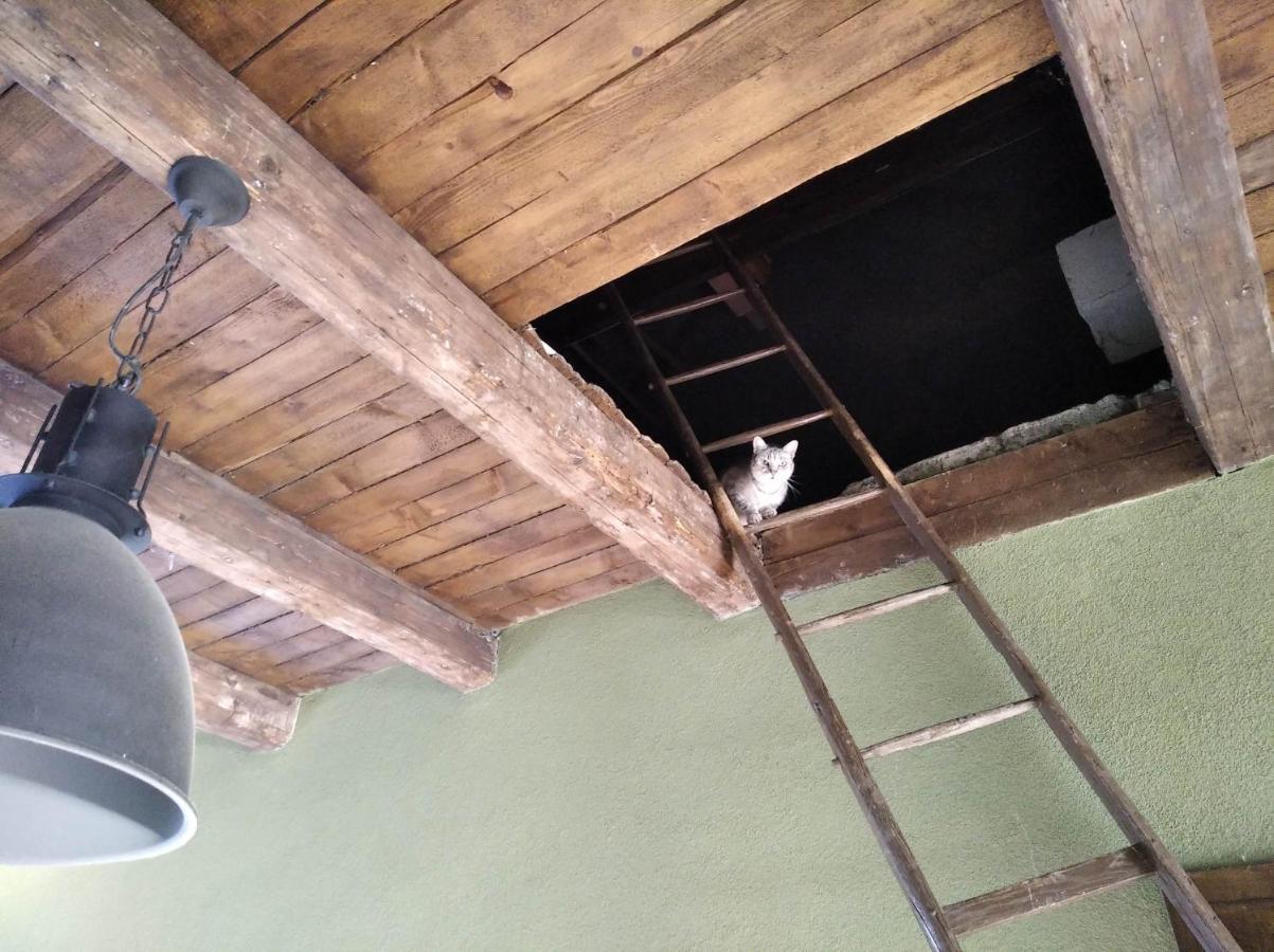 Ubytování u Malinkovičů Břeclav Esterno foto